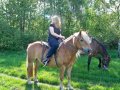 100_3156.jpg